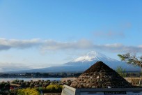 樹海ネイチャーツアー