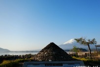 樹海ネイチャーツアー