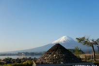 樹海ネイチャーツアー