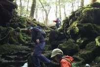 特別樹海ネイチャーツアー(㈱日本旅行国際事業部:オーストラリア、イギリスのゲストの皆様）