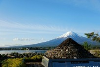 樹海ネイチャーツアー