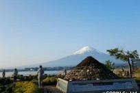 樹海ネイチャーツアー