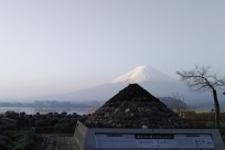 樹海ネイチャーツアー
