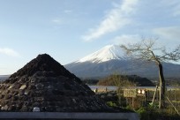樹海ネイチャーツアー