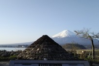 樹海ネイチャーツアー