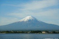 樹海ネイチャーツアー