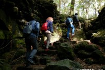 樹海ネイチャーツアー