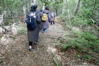 樹海ネイチャーツアー