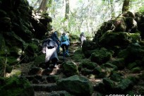 樹海ネイチャーツアー