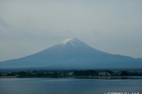 樹海ネイチャーツアー