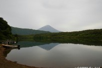 樹海ネイチャーツアー