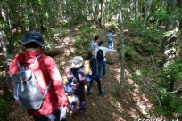 樹海ネイチャーツアー