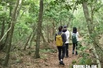 樹海ネイチャーツアー