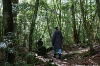 樹海ネイチャーツアー