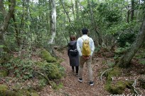 樹海ネイチャーツアー