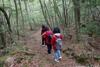 樹海ネイチャーツアー