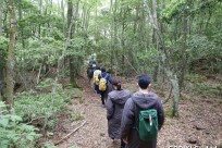 樹海ネイチャーツアー