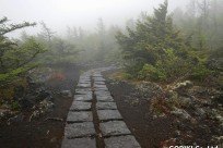 あま市立甚目中様（五合目ネイチャートレイル）