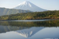 樹海ネイチャーツアー