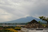 樹海ネイチャーツアー