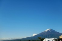 樹海ネイチャーツアー