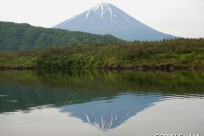 樹海ネイチャーツアー