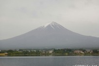 樹海ネイチャーツアー