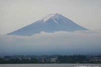 樹海ネイチャーツアー