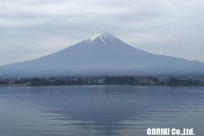 樹海ネイチャーツアー