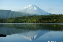 樹海ネイチャーツアー