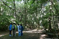 樹海ネイチャーツアー