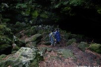 樹海ネイチャーツアー