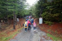 同志社小様（五合目ネイチャートレイル）