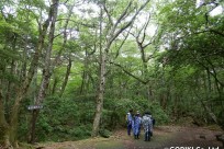 樹海ネイチャーツアー