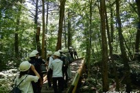 早稲田大学学生環境NPO環境ロドリゲス様（樹海ネイチャートレイル）