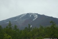 豊橋市立北部中様（五合目ネイチャートレイル）
