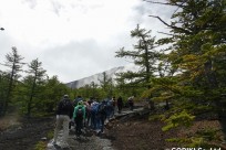 名古屋市立久方中様（五合目ネイチャートレイル）