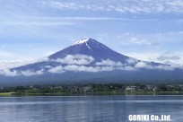 樹海ネイチャーツアー