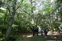 樹海ネイチャーツアー