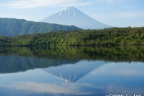 樹海ネイチャーツアー