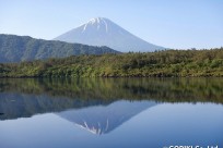 樹海ネイチャーツアー