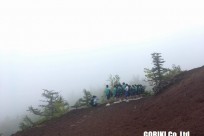津島市立藤浪中様（五合目ネイチャートレイル）