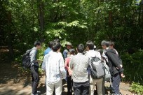 早稲田大学学生環境NPO環境ロドリゲス様（樹海ネイチャートレイル）