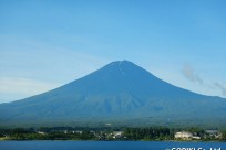 樹海ネイチャーツアー
