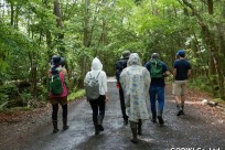 樹海ネイチャーツアー