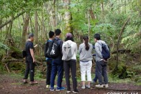 樹海ネイチャーツアー