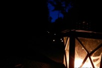 星のや富士様（ナイトライトウォッチング）