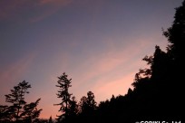 星のや富士様（ナイトライトウォッチング）