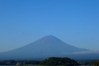 樹海ネイチャーツアー