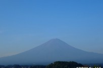 樹海ネイチャーツアー